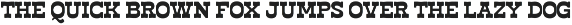Haose Rodeko Western Slab Serif preview