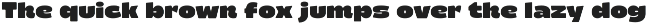 Barni – Bold Retro Groovy Font preview