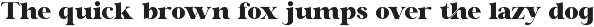 Nittalo || Modern Classy Serif Font preview