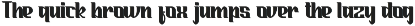 Night Bender - Stylish Serif Font font preview