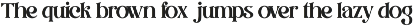 Belami - Modern Retro Stylish Serif preview