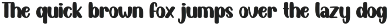 Montage | Script Font preview