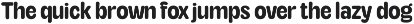 TNSC Aiger -  Rounded Sans preview