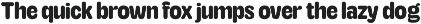 TNSC Aiger -  Rounded Sans preview