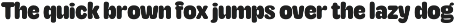 TNSC Aiger -  Rounded Sans preview
