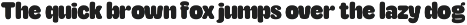 TNSC Aiger -  Rounded Sans preview