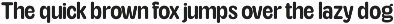 TNSC Aiger -  Rounded Sans preview
