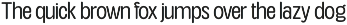 TNSC Aiger -  Rounded Sans preview