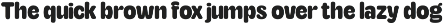 TNSC Aiger -  Rounded Sans preview
