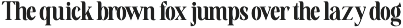 Estin Loftin Serif Font preview