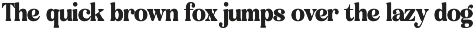 Classica Motion Retro Swash Serif preview