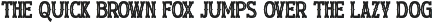 Wildscape Vintage Western Serif Font preview
