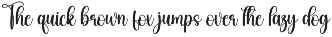 Winter Eastern | Script Font preview