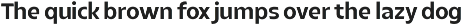 Poppy Playful Humanist Sans Serif preview