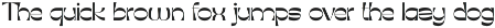 Tourag font preview