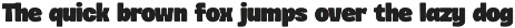 Mickon Font Family preview