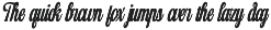 Lavonte Vintage Script Font font preview