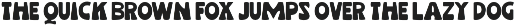12 Bundles Font Elegant preview