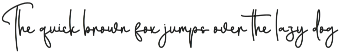 Halloween Party | Script Font preview