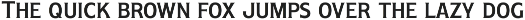 Costa Marino - A Classic Style Font preview