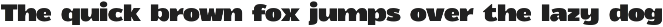 Boldwave - Modern Sans Serif preview