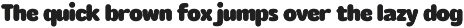 Rounded Sans Family - Rosmie preview