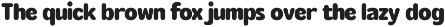 Rounded Sans Family - Rosmie preview