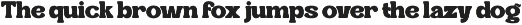 Retro Way - Vintage Logo Font font preview
