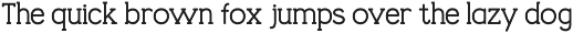 Bitfolio Contemporary Serif Font preview