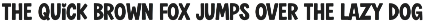 Selina - Script Monoline Font Duo preview