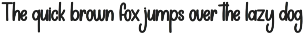 Summer Dreamer | Script Font preview
