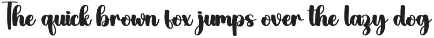 Winter | Script Font preview