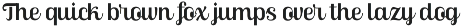 Skinno — A Variable Script Typeface preview