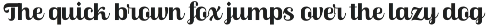 Skinno — A Variable Script Typeface preview