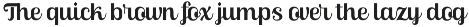 Skinno — A Variable Script Typeface preview