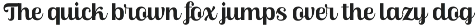 Skinno — A Variable Script Typeface preview