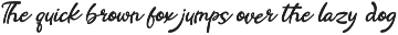 Romanelo Wandering | Retro Script preview