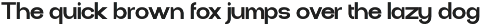 Pasbile - Sans Serif Modern Font preview