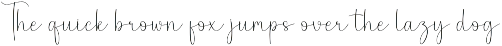 Simple Amsterdam | Script Font preview
