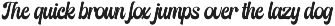 Thick Dream | Retro Script preview