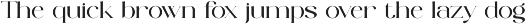 Searly - Staylish And Elegant preview