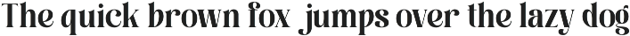 Roilega - Luxury Brand Family Font preview