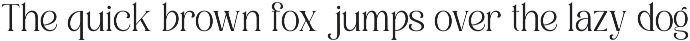 Roilega - Luxury Brand Family Font preview