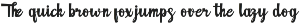 Delino - Retro Script preview