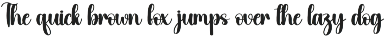 Beach | Script Font preview