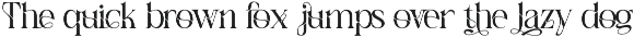 Aesthetic Reflection Elegant Font preview