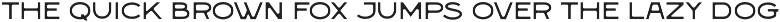 Carisk preview