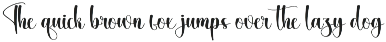 Delight Midnight | Script Font preview