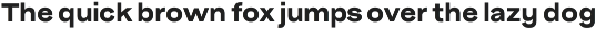 Pampero | Modern Display & Text Sans preview