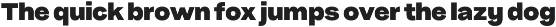 Pampero | Modern Display & Text Sans preview